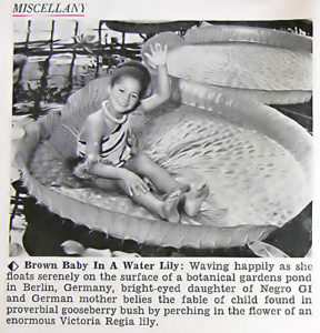 German Brown Baby in a Water Lily - Hue Magazine, January, 1955